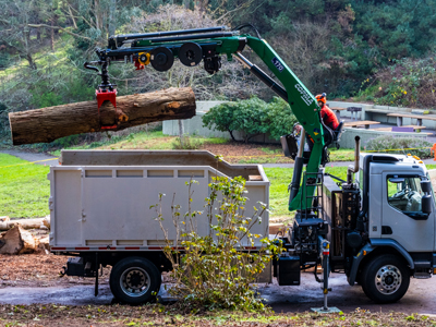 Loading Wood in Truck